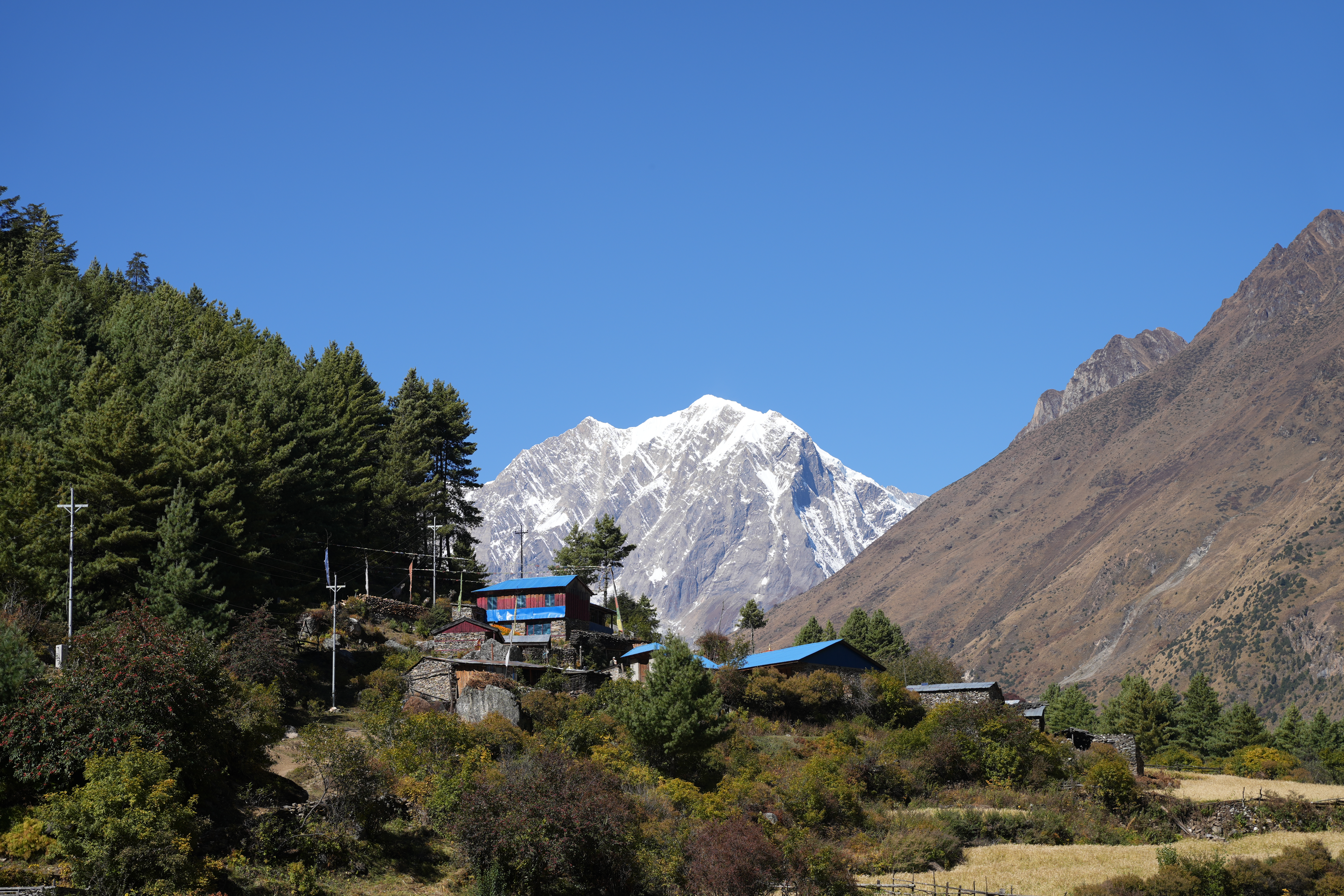 Na ramp komt toerisme weer op gang in Nepal